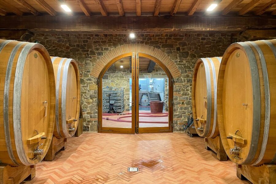 Florence: Hiking Tuscany & Chianti wine 3 wineries and lunch - The 12th-century cellar and the first tasting