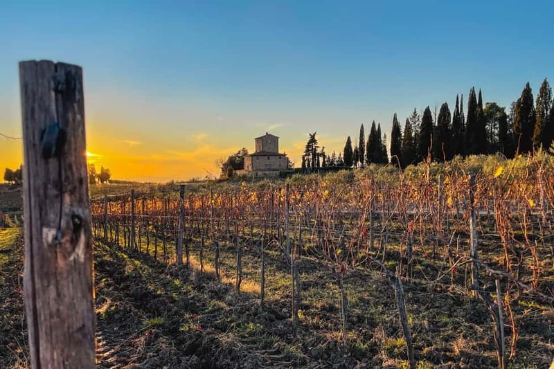 Florence: Hiking Tuscany & Chianti wine 3 wineries and lunch - Meeting in Florence and riding into the hills