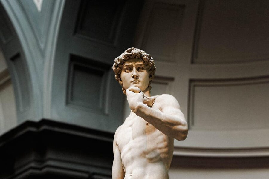Florence: Michelangelo's David Reserved Entry Tickets - The first view of Michelangelo’s David