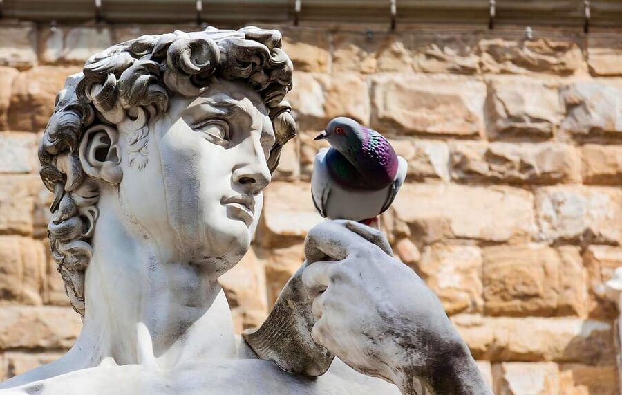 Florence: Piazza della Signoria & David - Anti Walking Tour - Michelangelo’s David Before the Famous Museum Visit