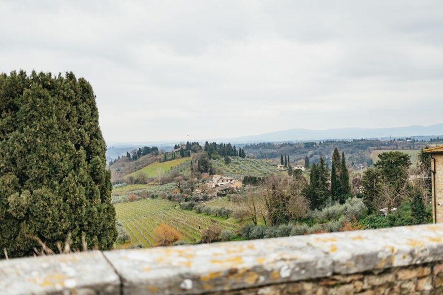 Florence: Pisa, Siena, San Gimignano, and Chianti Experience - The Chianti winery: lunch, wine, and a better sense of Tuscany