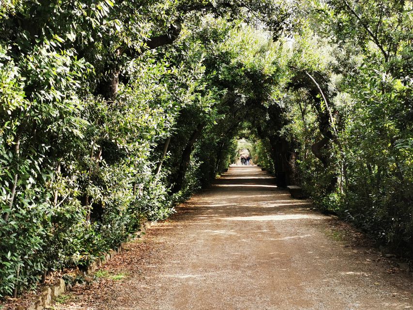 Florence: Pitti Palace, Boboli Garden, Palatine Gallery Tour - Key Points At a Glance