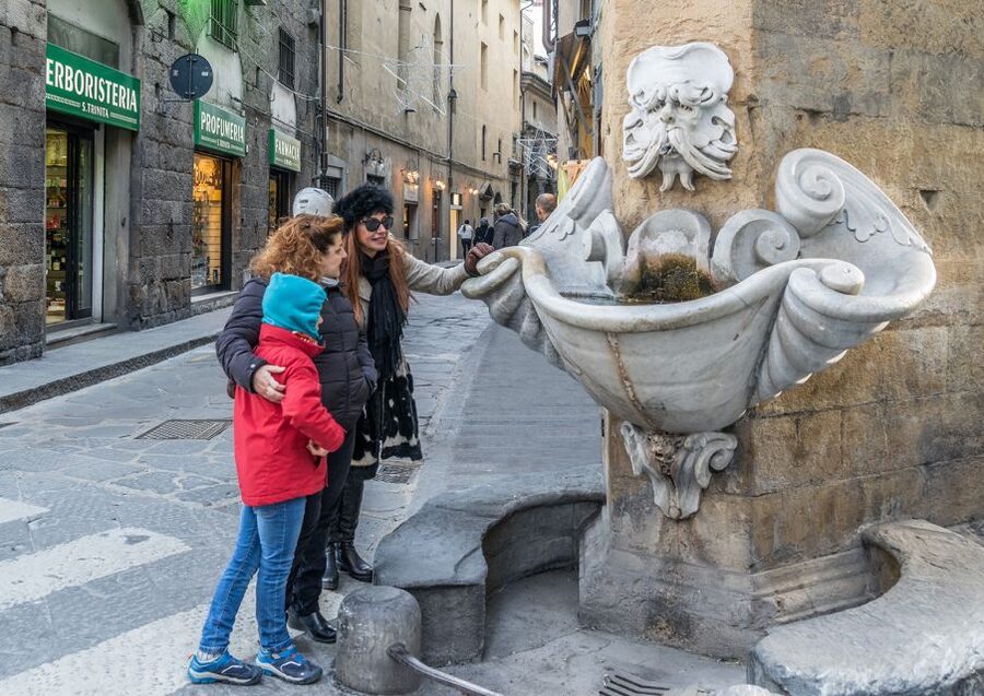 Florence: Private City Walking Tour - What $192.58 per person buys you