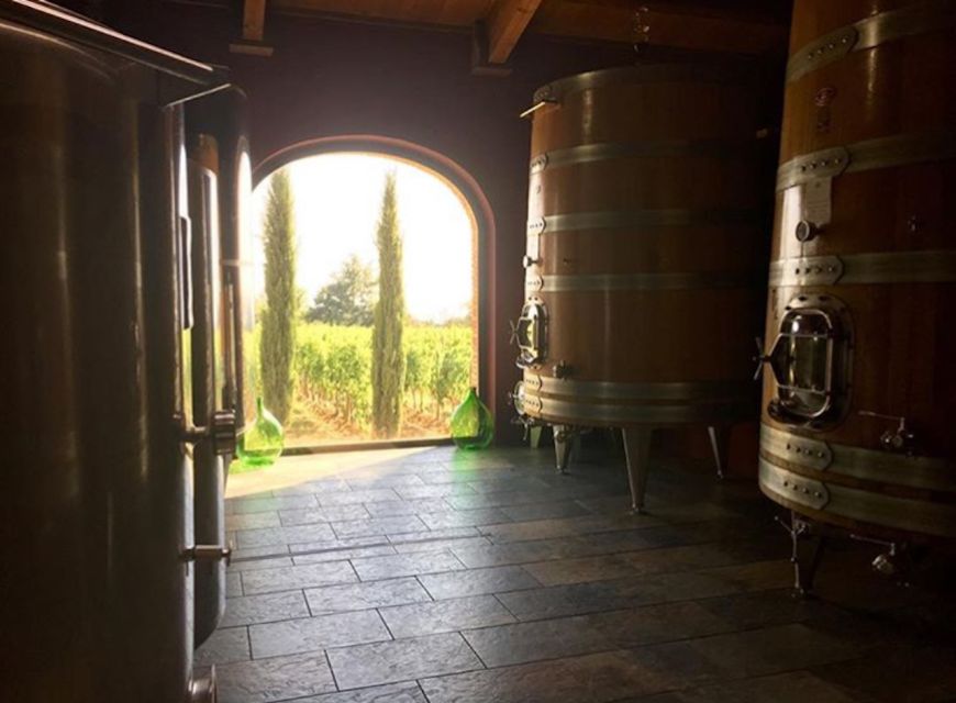 Florence: Private Full-Day Brunello Wine Tour to Montalcino - What the private format is really worth