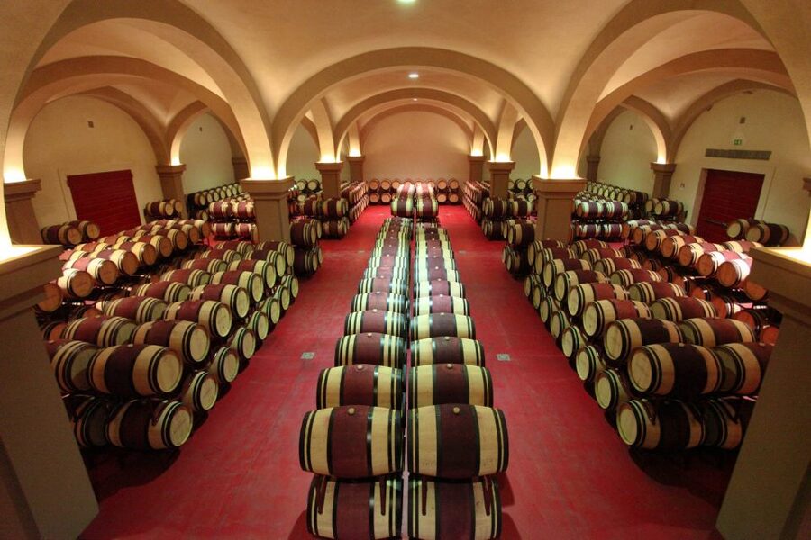 Florence: Private Full-Day Brunello Wine Tour to Montalcino - Podere il Cocco and a very small organic cellar