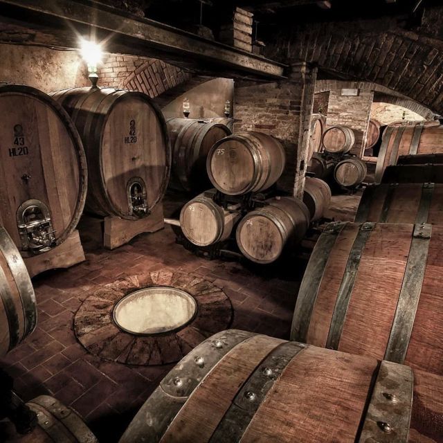 Florence: Private Full-Day Brunello Wine Tour to Montalcino - Solaria, an all-female family company