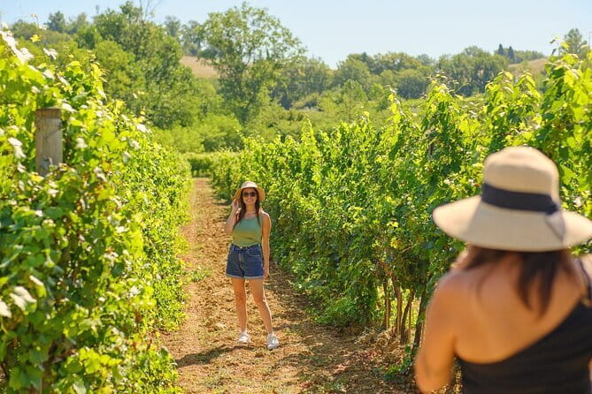 Florence: Private Half-Day Chianti Tour and Wine Tasting Optional - Key points at a glance