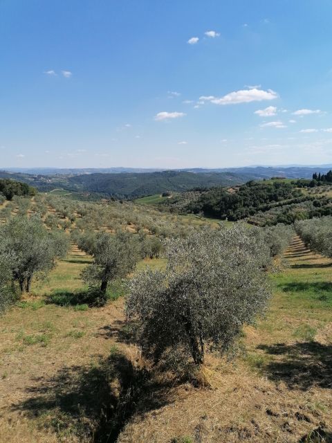 Florence: Private Vintage Fiat500 Countryside & Winery Lunch - Should you book it?