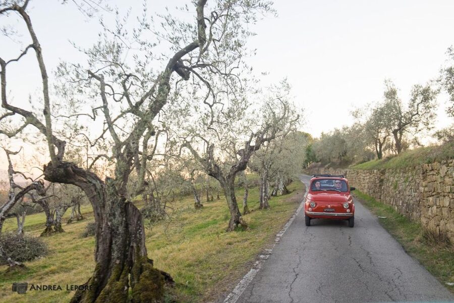 Florence: Private Vintage Fiat500 Countryside & Winery Lunch - Through vineyards and olive groves