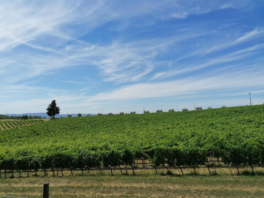 Florence: Private Vintage Fiat500 Countryside & Winery Lunch - Who should book this Fiat 500 outing?