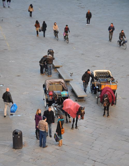Florence: Private Walking Tour with a Local Guide - Timing, comfort, and access