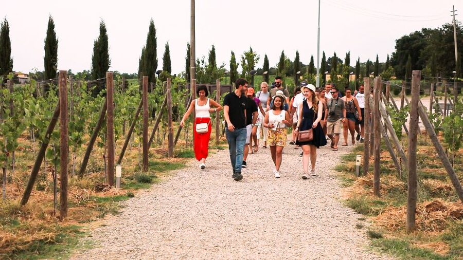 Florence: S. Gimignano, Siena, Chianti & Wine Tasting Lunch - What the $89.50 price really buys