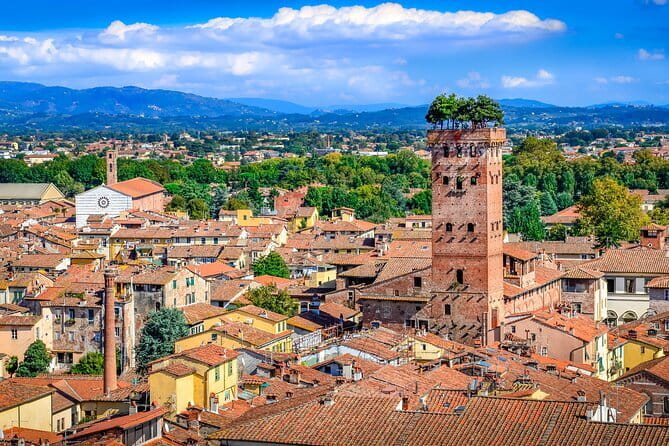 Florence : Scenic tour of Piazzale Michelangelo with tasting - San Miniato al Monte and the quieter hills
