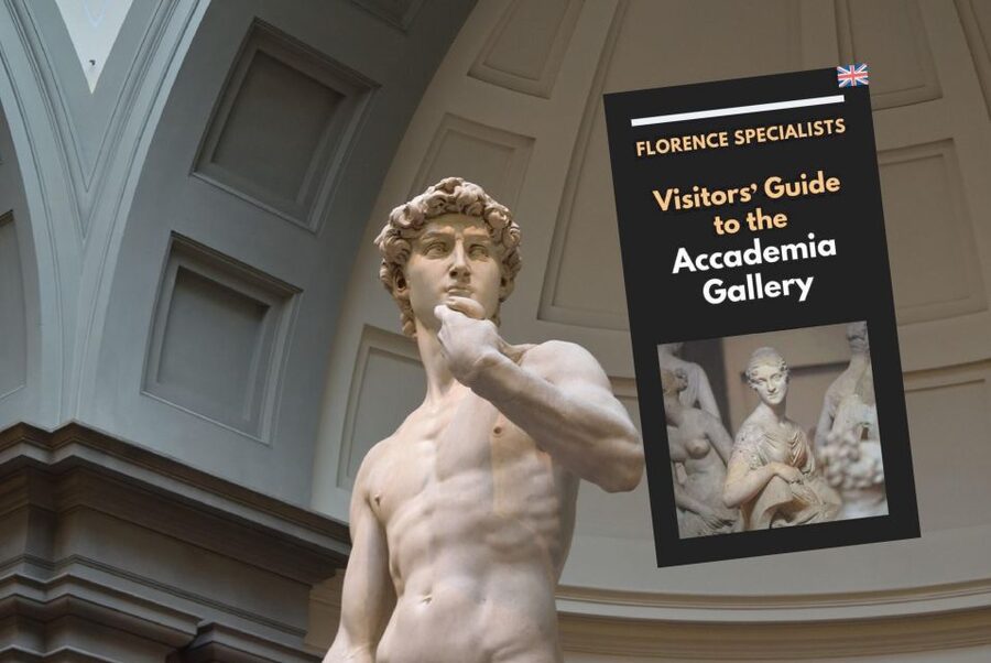 Florence: Timed Entry Ticket to Michelangelo's David & eBook - What the timed ticket actually saves