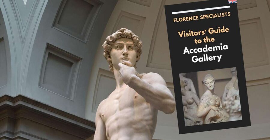 Florence: Timed Entry Ticket to Michelangelo's David & eBook - Is $37 a fair price?