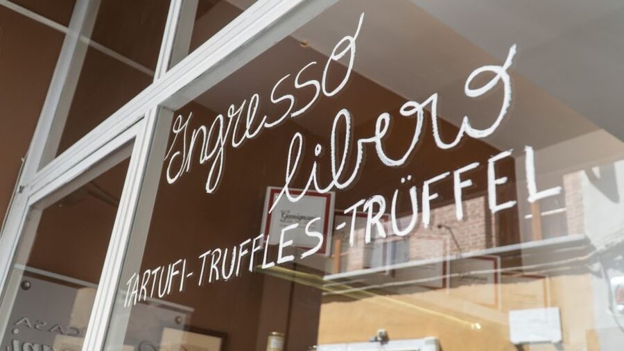 Florence: Truffle Hunting and Vinci with Lunch and Winery - Who should book this experience