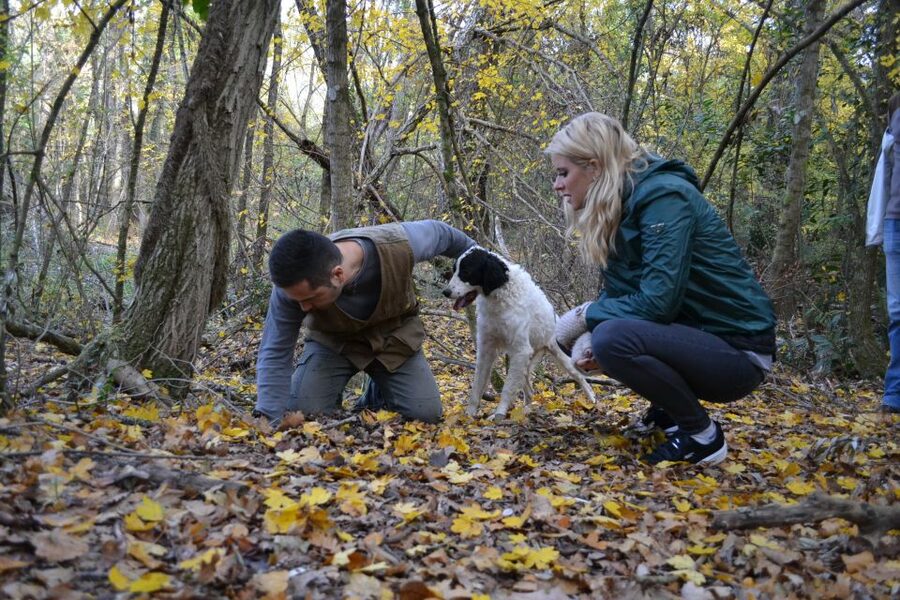 Florence: Truffle Hunting, Lunch, and Wine Tasting Tour - Should you book it?
