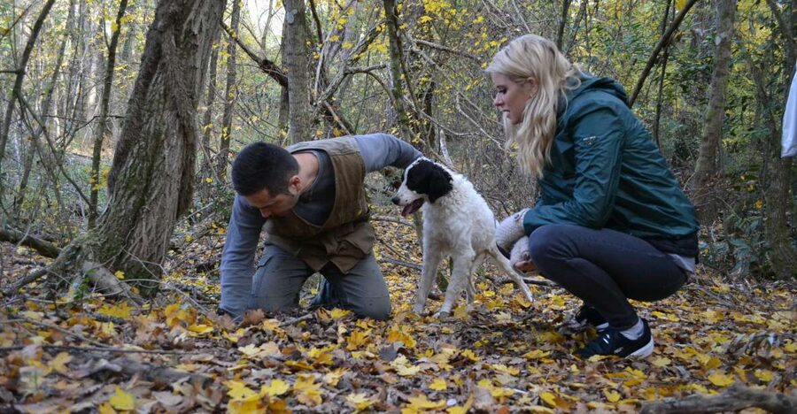 Florence: Truffle Hunting, Lunch, and Wine Tasting Tour - A truffle day beyond Florence