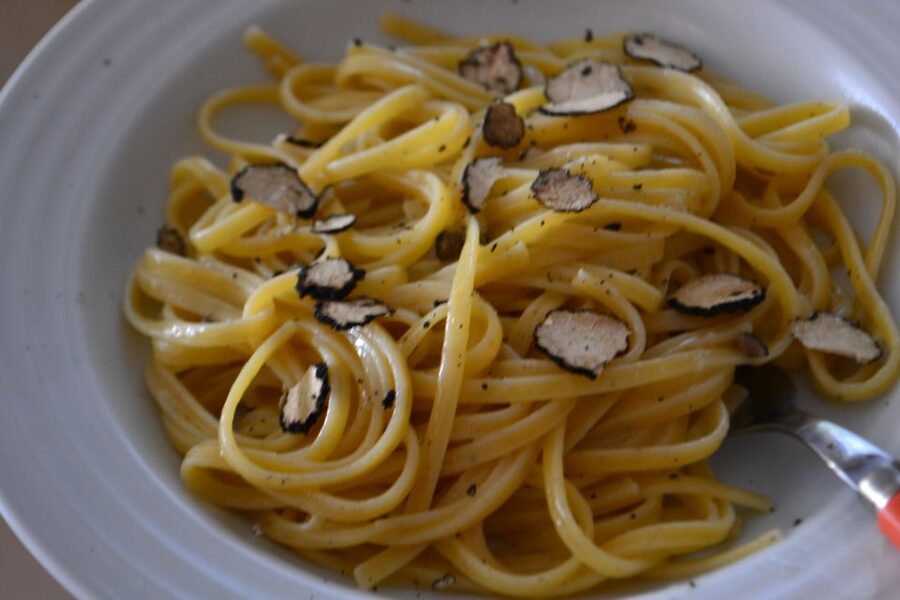Florence: Truffle Hunting, Lunch, and Wine Tasting Tour - San Miniato and the forest search
