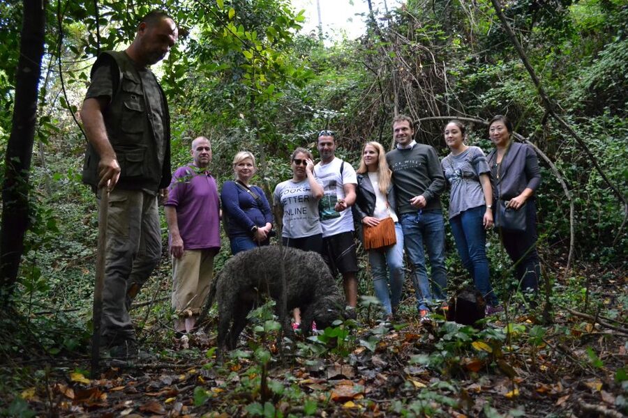 Florence: Truffle Hunting, Lunch, and Wine Tasting Tour - Who will enjoy this day most