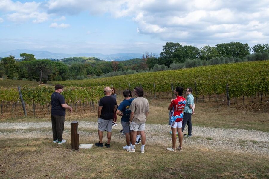 Florence: Tuscany Countryside Guided E-Bike Tour with Lunch - Panoramic stops with a practical price