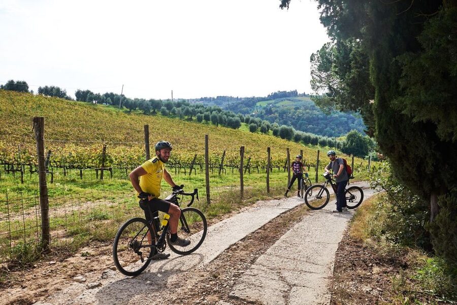 Florence: Tuscany Countryside Guided E-Bike Tour with Lunch - A family farm lunch in the vineyards