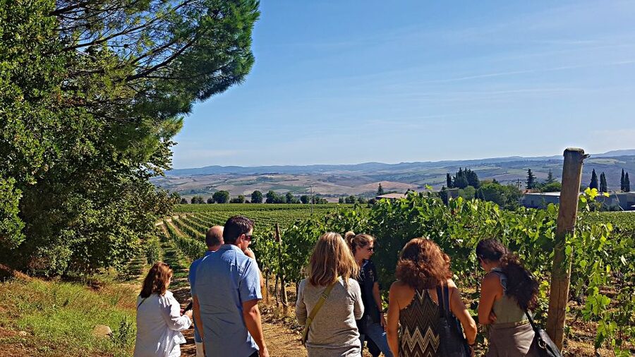 Florence: Valdorcia Wine, Brunello Montalcino, Montepulciano - Pienza, Pecorino, and lunch above the valley