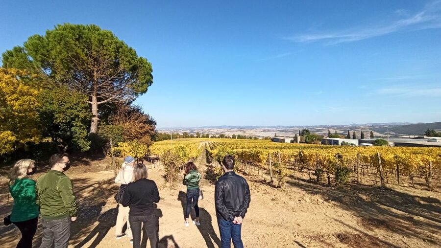 Florence: Valdorcia Wine, Brunello Montalcino, Montepulciano - Who should book this Val d’Orcia tour?