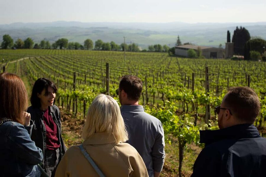 Florence: Valdorcia Wine, Brunello Montalcino, Montepulciano - The road into Val d’Orcia