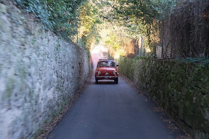 Florence Vintage Fiat 500 Tour with Wine Tasting at Farm - Wine and olive oil at a family-run farm