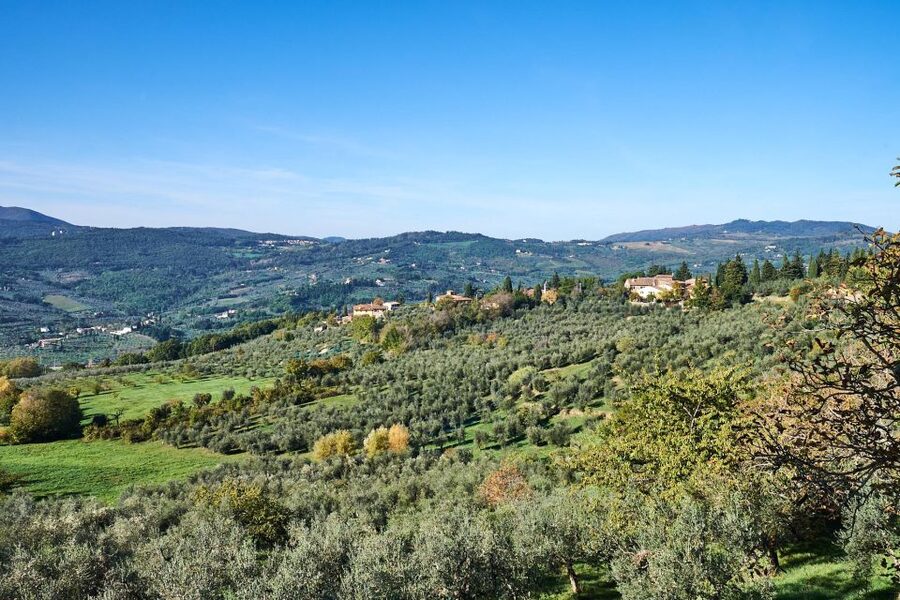 Florence: Vintage Fiat 500 Tour with Wine Tasting at Winery - A family-run winery with wine and olive oil