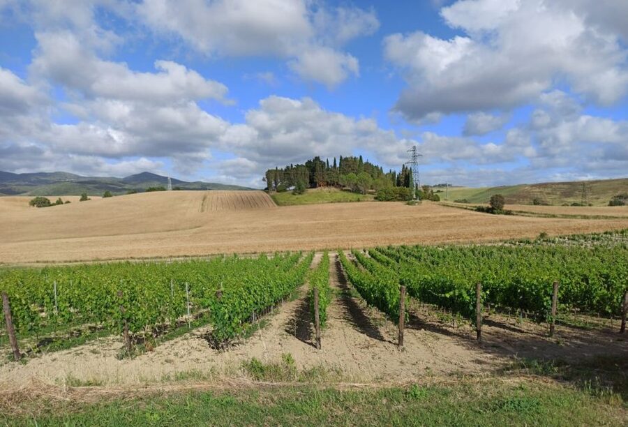 Florence: Volterra & San Gimignano Wine Tour with Lunch - Why this Florence day trip works