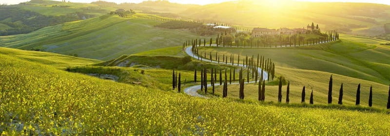 From Firenze | Chianti day tour in a classic car - Crossing the Chianti Hills for an hour