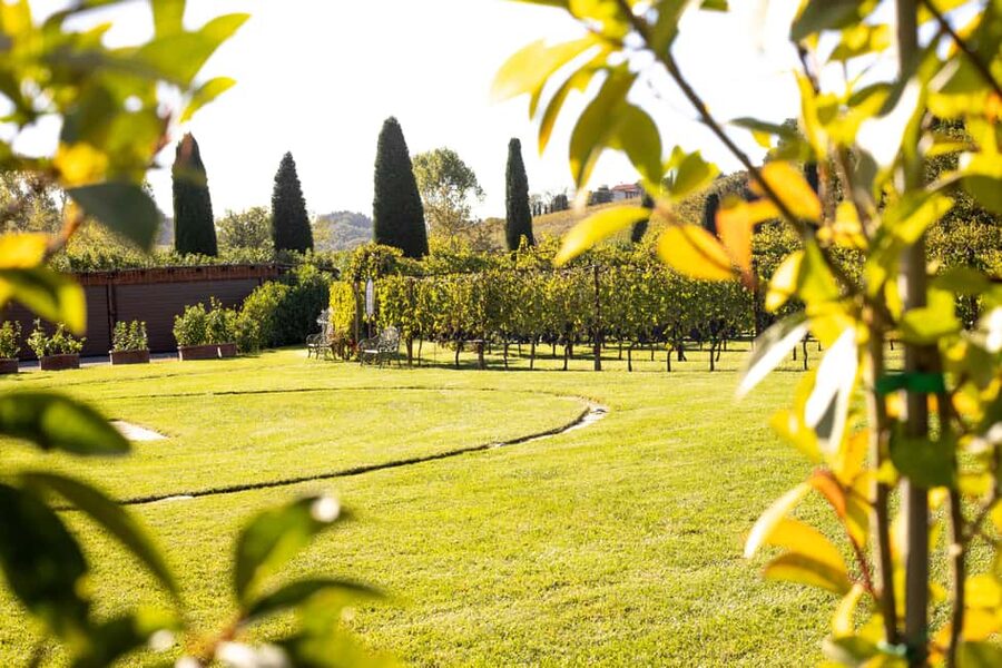 From Florence: Chianti Half-Day Afternoon Tour - Getting to Villa Costanza Without Paying for a Taxi