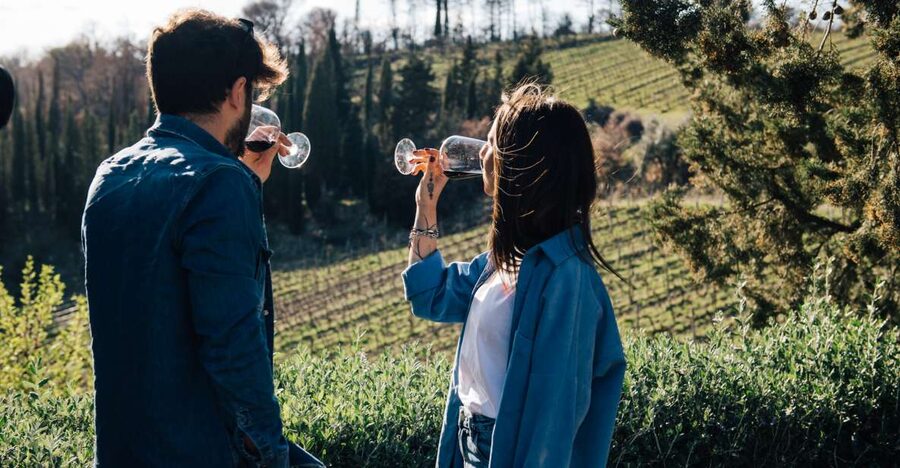 From Florence: Chianti Hills Half-Day Tour with Wine Tasting - Key points at a glance