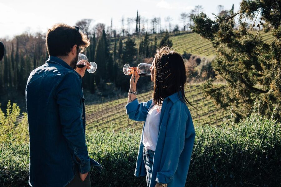 From Florence: Chianti Hills Half-Day Tour with Wine Tasting - The ride from Florence into Chianti