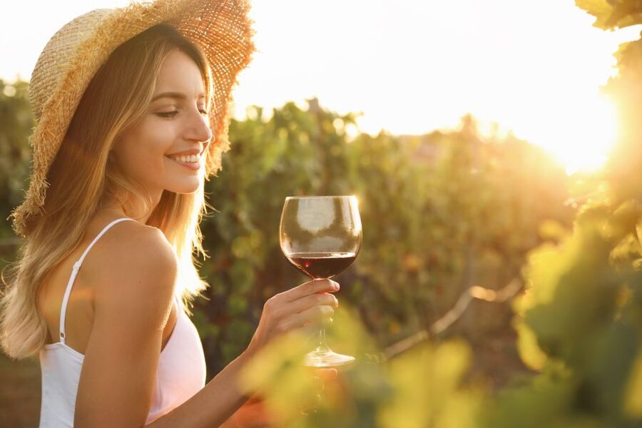 From Florence: Chianti Hills Half-Day Tour with Wine Tasting - Walking the vineyard rows