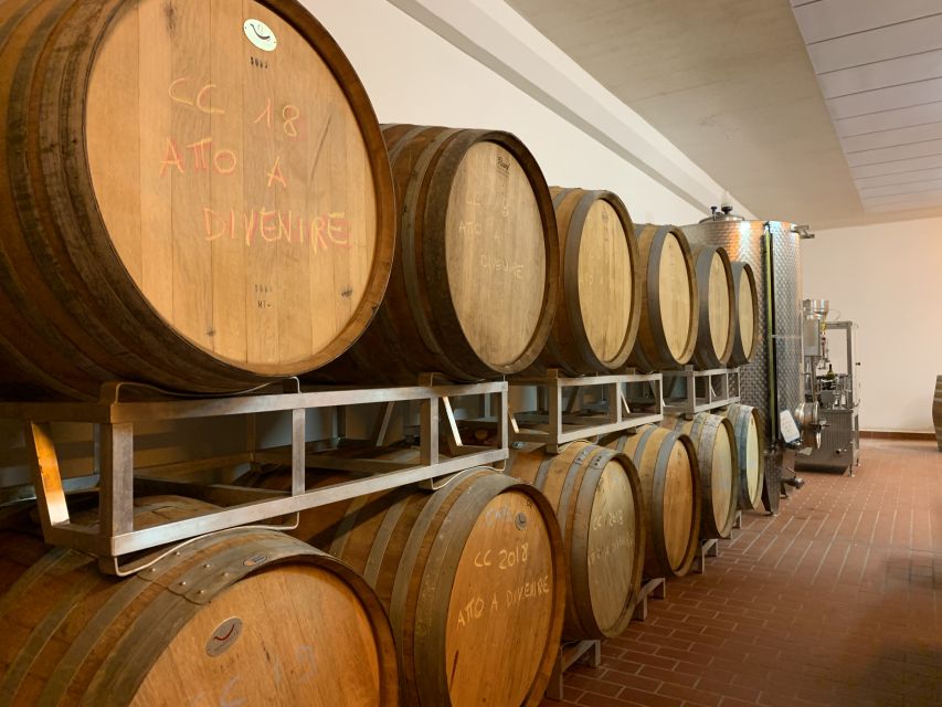 From Florence: Chianti Hills Half-Day Tour with Wine Tasting - The vinegar cellar and vin santo story