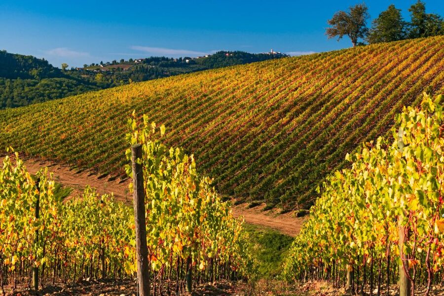 From Florence: Chianti Hills Half-Day Tour with Wine Tasting - Two tasting venues, two different moods