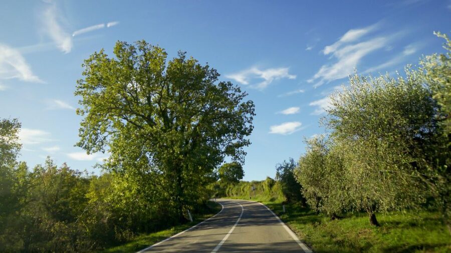 From Florence: Chianti, Montalcino & Montepulciano - Minivan - A farm lunch with Brunello near Montalcino