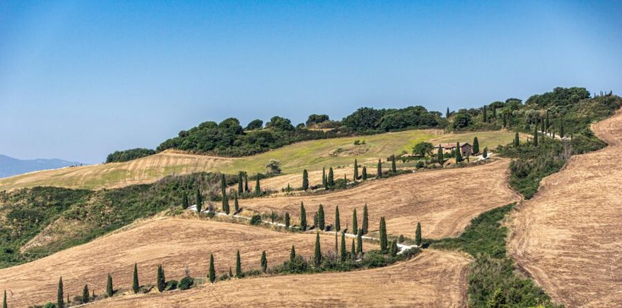 From Florence: Chianti, Montalcino & Montepulciano - Minivan - Val d’Orcia and the Via Francigena