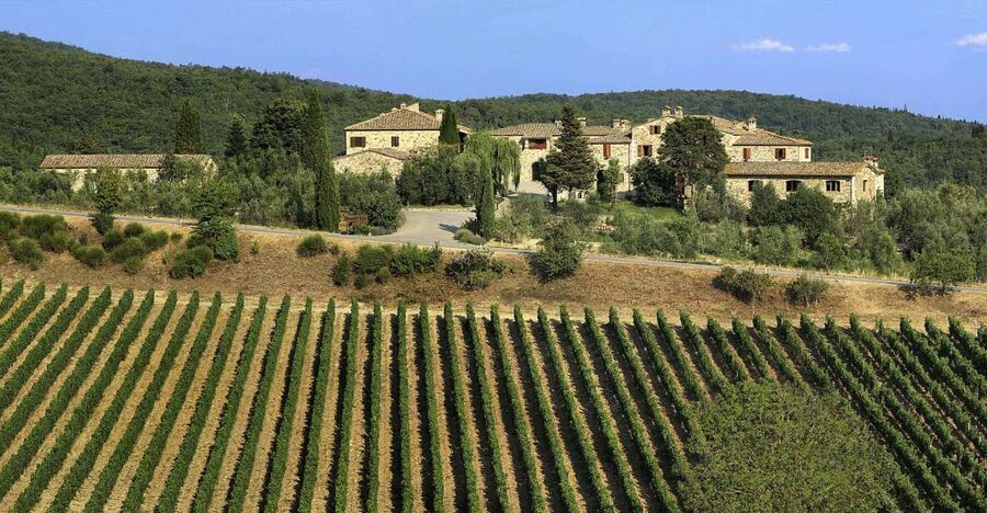 From Florence: Chianti, Montalcino & Montepulciano - Minivan - Montepulciano and the final Nobile tasting