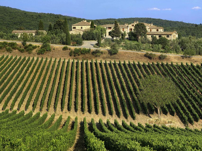 From Florence: Chianti, Montalcino & Montepulciano - Minivan - What the minivan and group size mean