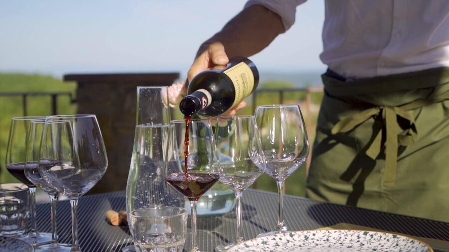 From Florence: Chianti, Montalcino & Montepulciano - Minivan - Is the $328.53 price fair?