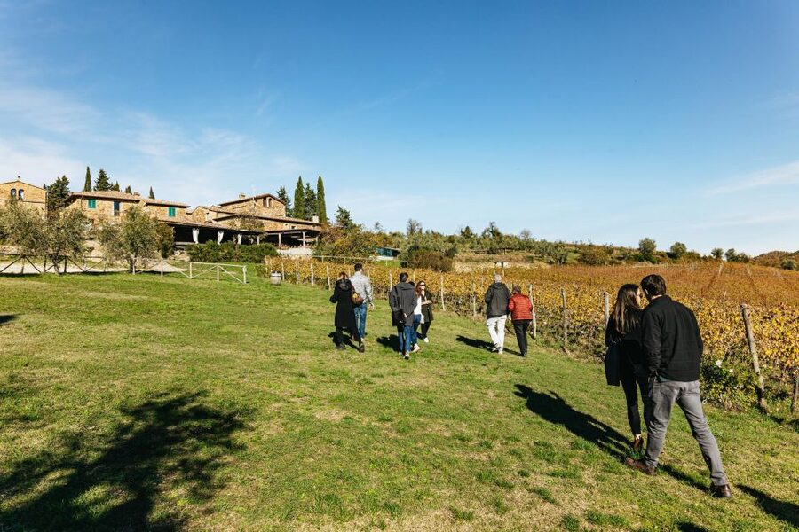From Florence: Chianti Wine and Food Tasting Safari - Booking advice and final verdict
