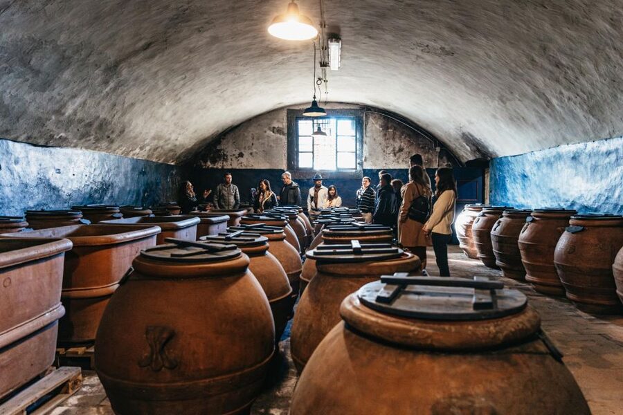 From Florence: Chianti Wine and Food Tasting Safari - Leaving Florence for the Monti del Chianti