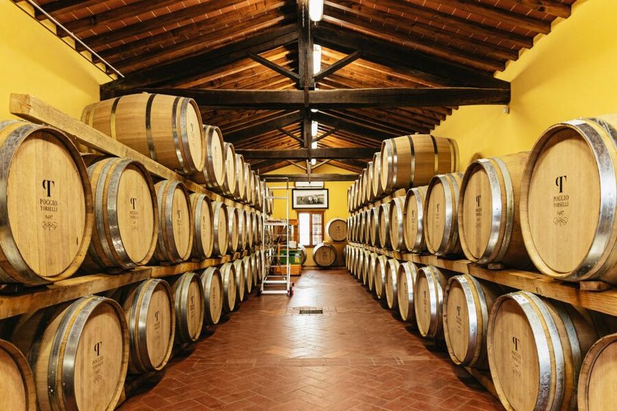 From Florence: Chianti Wine and Food Tasting Safari - The ride back to Florence