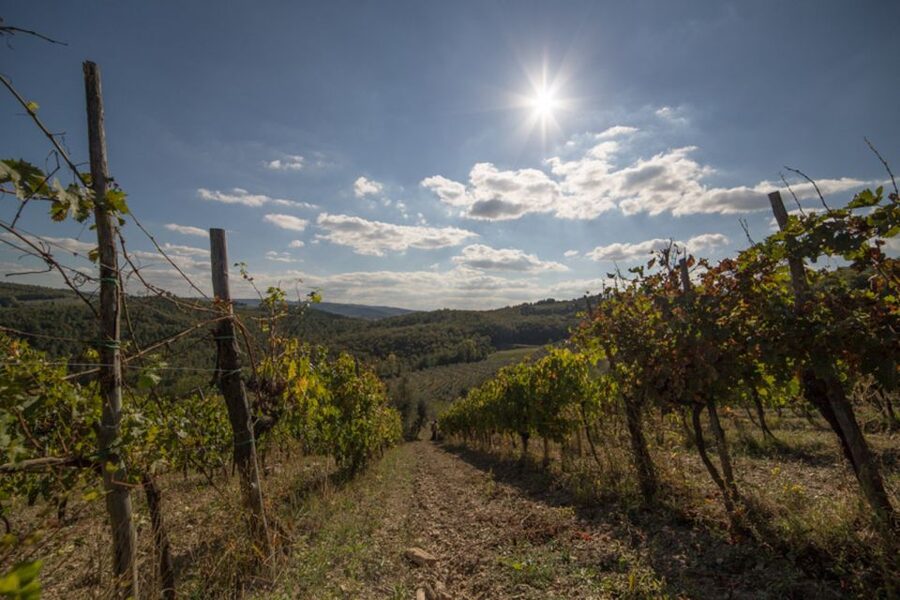 From Florence: Chianti Wine Tastings at Sunset Day Trip - The best parts of the Chianti afternoon