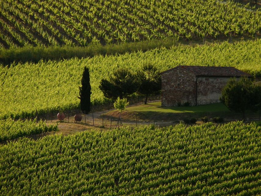 From Florence: Chianti Wine Tastings at Sunset Day Trip - Why this tour works so well from Florence