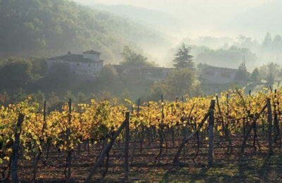 Chianti Wine Tour with Driver-Guide